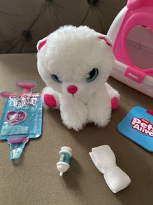 Pet Alive puppy rescue