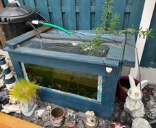 Homemade pond