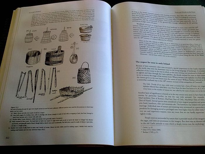Farming in Ireland History Heritage and Environment by John Feehan Irish history