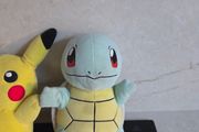 Pokemon teddys