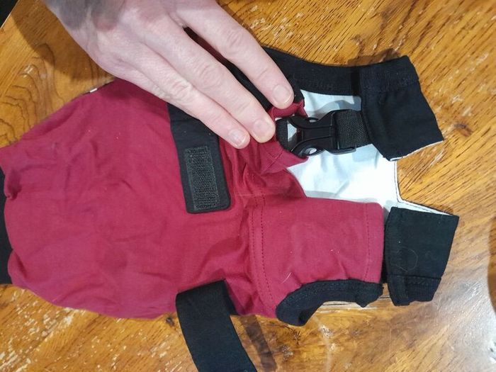 cat recovery suit
