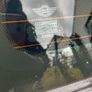 2010 Mini One Boot Lid Tailgate Image 4