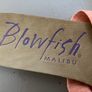 Blowfish  Slides Image 2