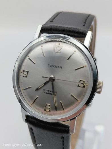 Vintage Swiss Tegra Watch