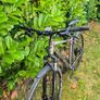 Giant Roam Bicycle Image 3