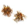 DIM Turkish hazel 3pcs Image 4