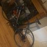 lapierre Image 3