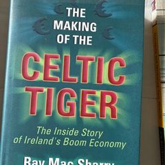The Making of the Celtic Tiger