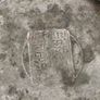 Chainse  tin tea caddy. It is an antique item, possibly from the late 19th or early 20th century. Image 2