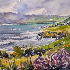 wild  Atlantic way watercolour