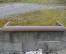 fire surround