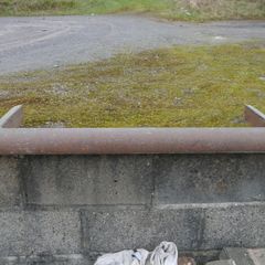 fire surround