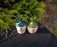 Duo whiskey carafes bottles possible to post