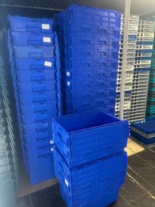 Storage boxes and trays