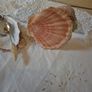 Hand crafted Oyster shell salt crock Image 3