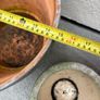 x3 Large Terracotta pots x2 Small ceramics pots Image 9