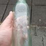 Vintage Downs and Sons Ennis bottle Image 2