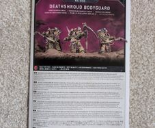 Death Shroud Bodyguard x 3 Warhammer 40k
