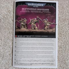 Death Shroud Bodyguard x 3 Warhammer 40k