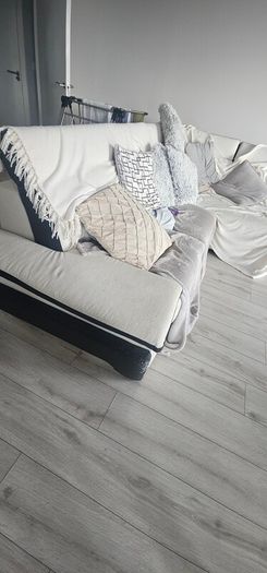 Lshaped couch sofabed