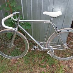 Fixie bike