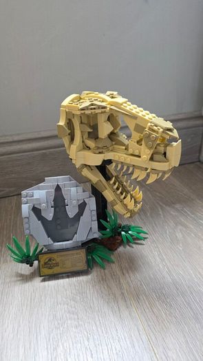 Tyrannosaurus Rex Skull Building Block Model