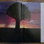 In Search of  Remarkable Trees - Thomas Pakenham Image 8