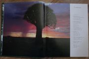 In Search of  Remarkable Trees - Thomas Pakenham