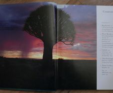In Search of  Remarkable Trees - Thomas Pakenham
