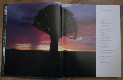 In Search of  Remarkable Trees - Thomas Pakenham