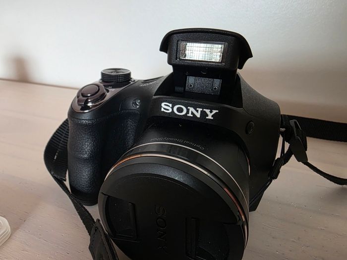 Sony Dsc-h300