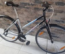 giant ladies bike( can deliver)