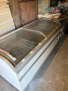 Free. Large Freezer for storage. Read the ad