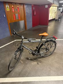 Hybrid Bike