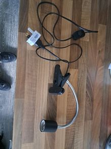 reptile heat lamp