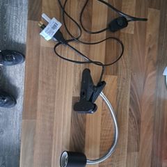 reptile heat lamp