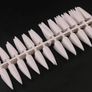 Nail Stiletto False 120 Tips Display Image 2