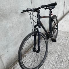 Romet hybrid