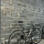 Bianchi Pista Image 8