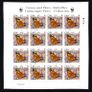 2005 Ireland Fauna and Flora (Butterflies) Commemorative Stamp Sheetlet Plate 1A1A1A1A  Fine CDS Used with Dublin cancel of 24th May 2005 (First day of issued) on envelope extract. Image 4