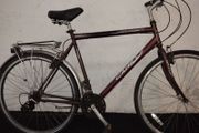 men's hybrid