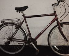 men's hybrid