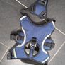 Dog Harness and clip on seat belt Image 6