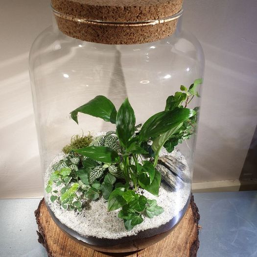 Lantern large - white H38 x W25 cm