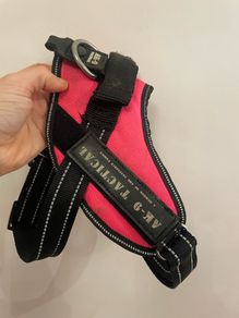 dog collar size small