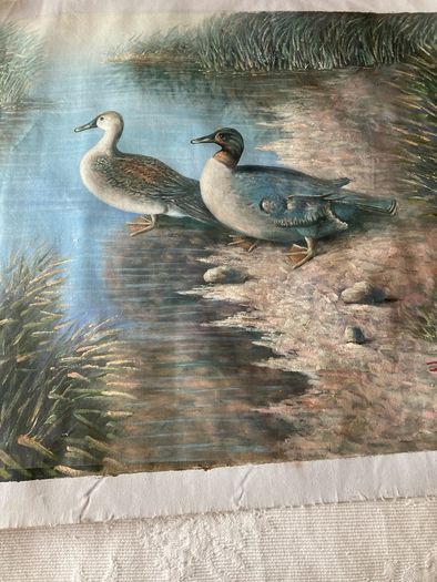 Duck Scene Canvas Painting by Justus