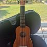 ukelele Image 2