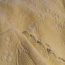 bedspread Image 9