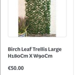 Birch Leaf Trellis Large - Brand new