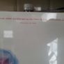 Japan Quiet Life red vinyl reissue Image 4